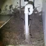 Termite nest under bathroom sink.